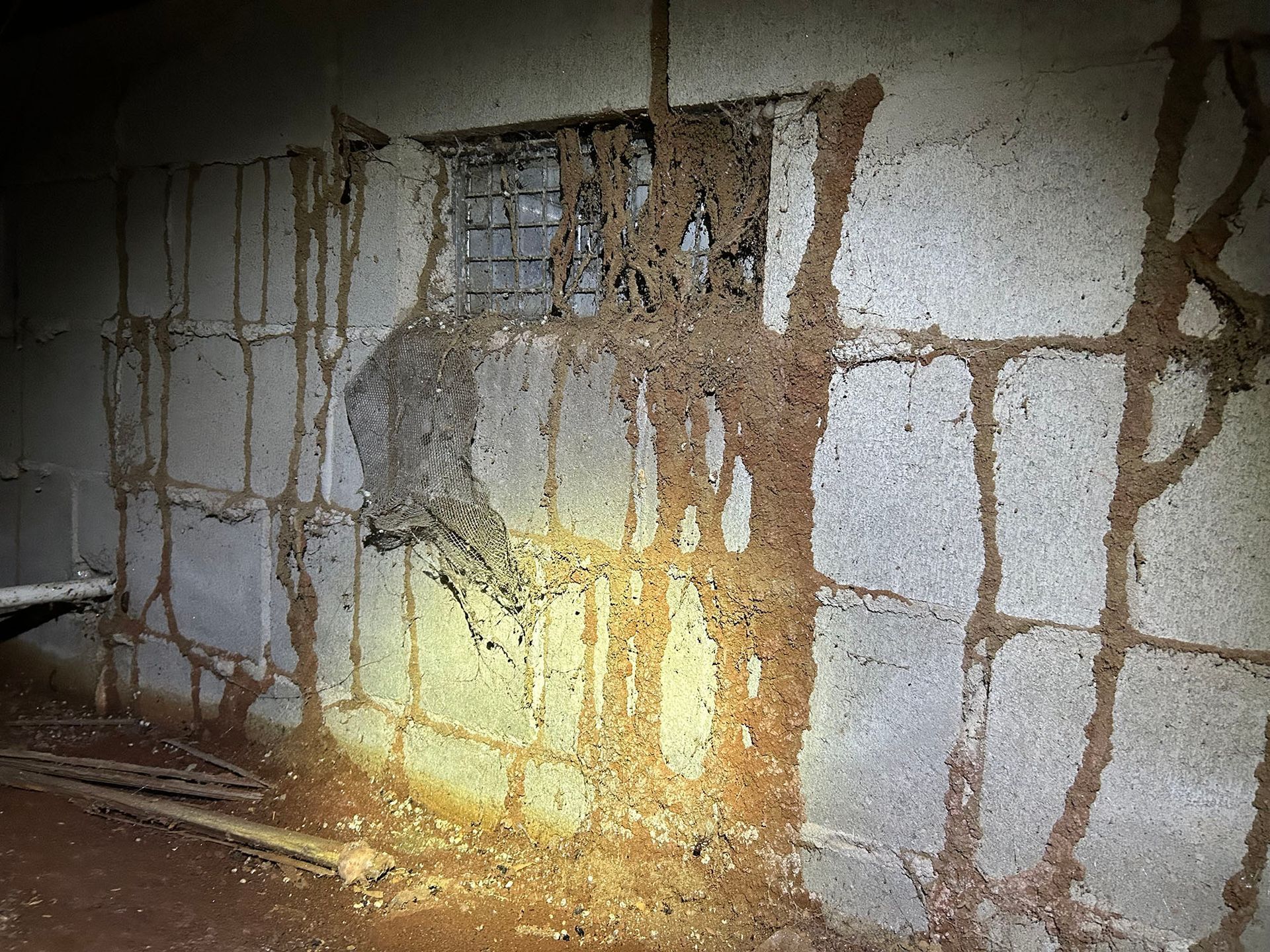 Termite damage on a concrete block wall, with mud tunnels and debris around a small window.
