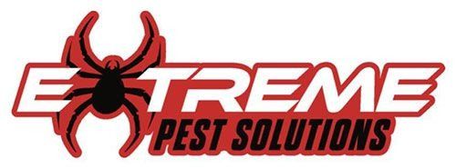 Logo for Extreme Pest Solutions with a spider graphic and red and white lettering.