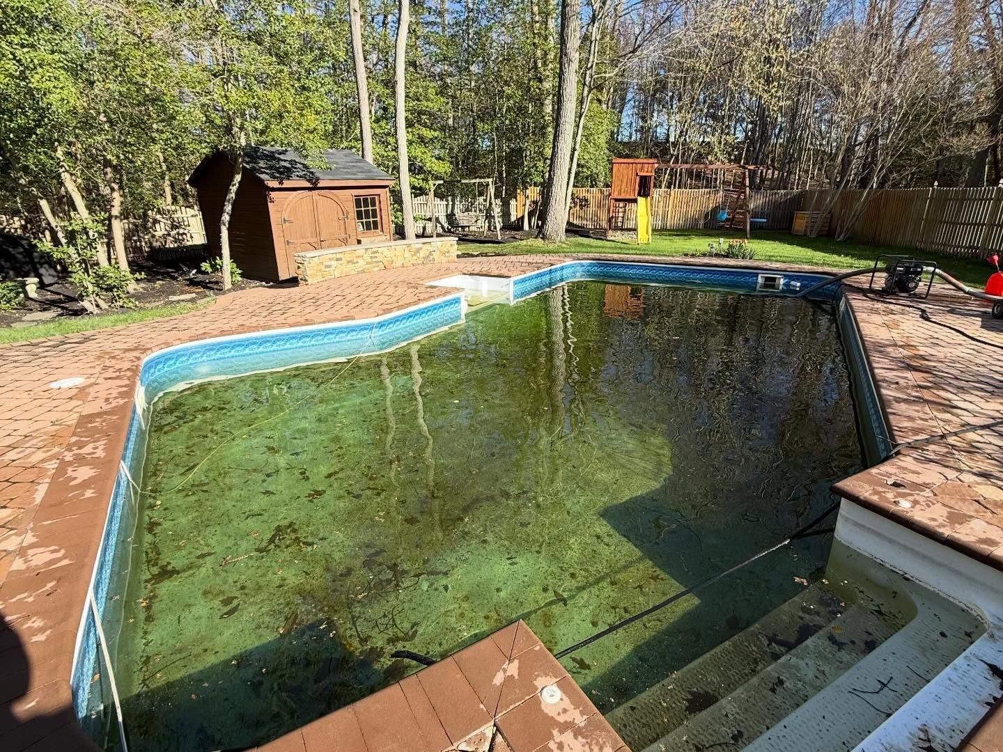 Empty backyard pool with murky green water, blue tile edging, and steps in a sunny yard