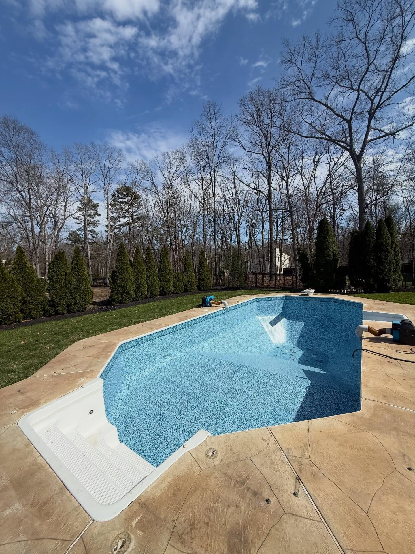 Empty backyard swimming pool with blue mosaic liner and white steps, surrounded by concrete patio and trees