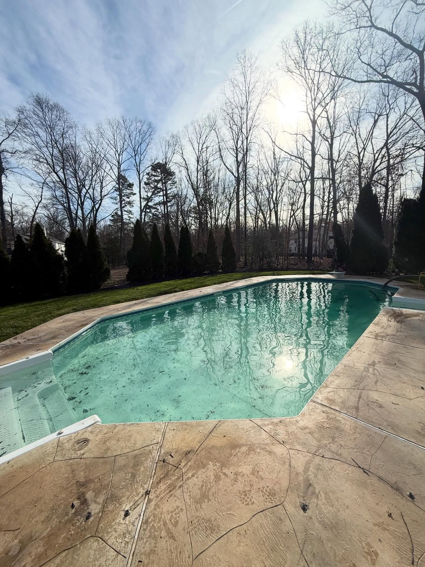 Empty backyard swimming pool with turquoise water, surrounded by concrete and bare trees under a bright sky
