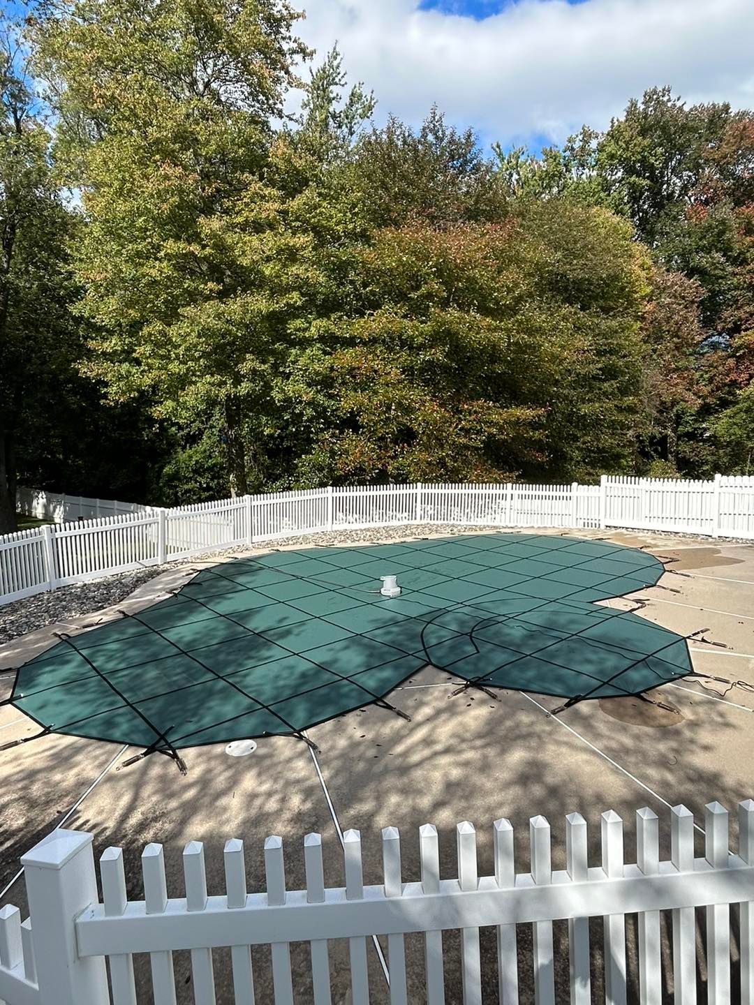 A swimming pool with a green cover surrounded by trees and a white picket fence.