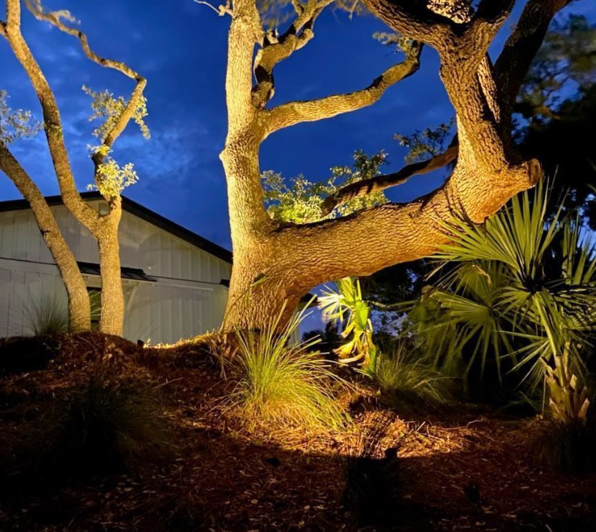 A tree is lit up at night in front of a house