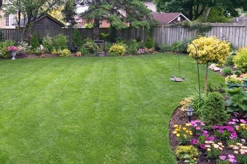 A lush green lawn with flowers and a fence in the background.