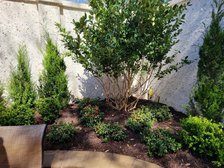 A lush green garden with trees and bushes in front of a white wall.
