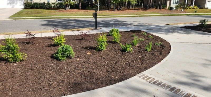 A circular driveway with plants and mulch in the middle of it.