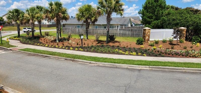 A residential area with palm trees and a house in the background.
