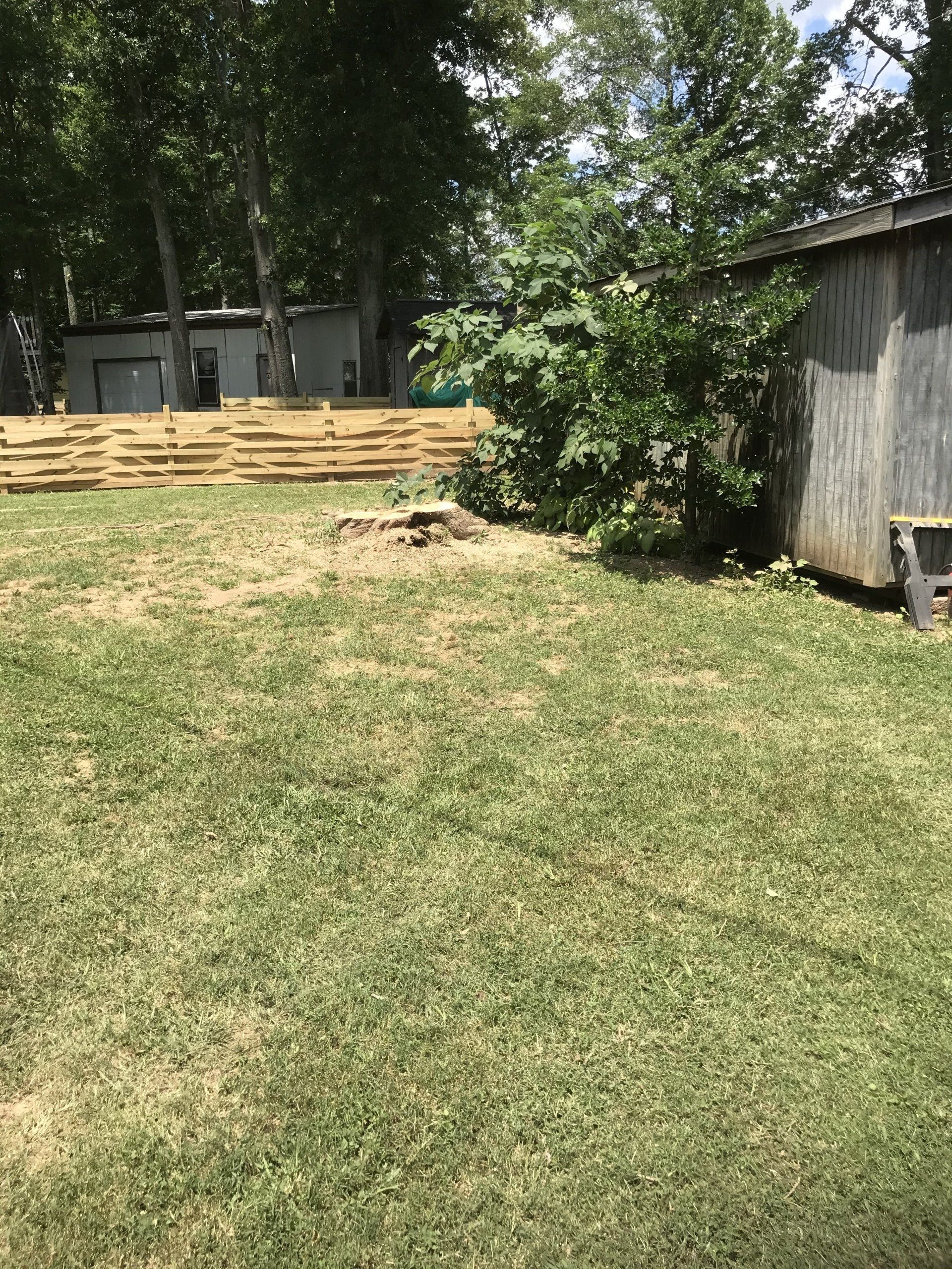 Tree services