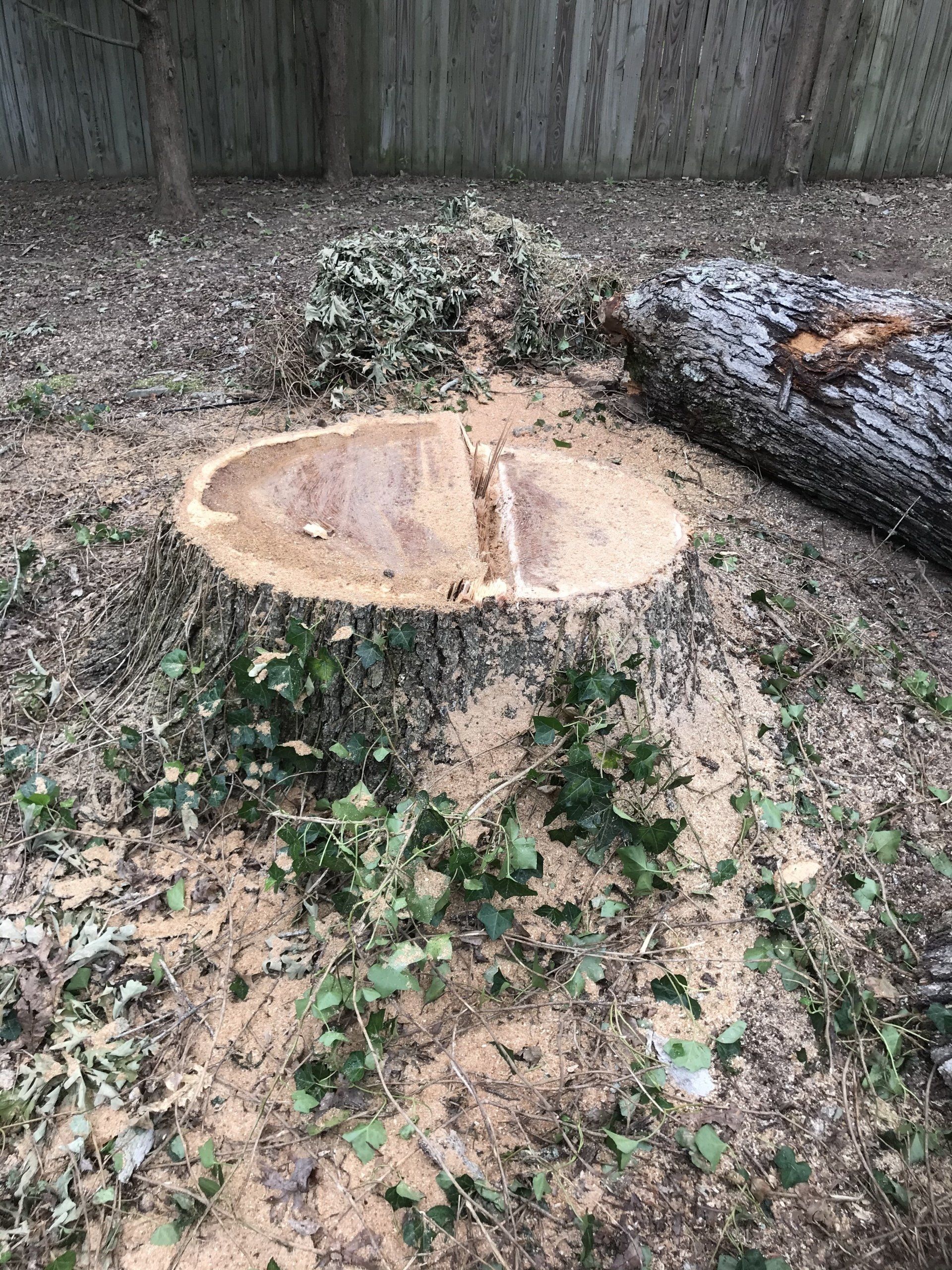 Tree services