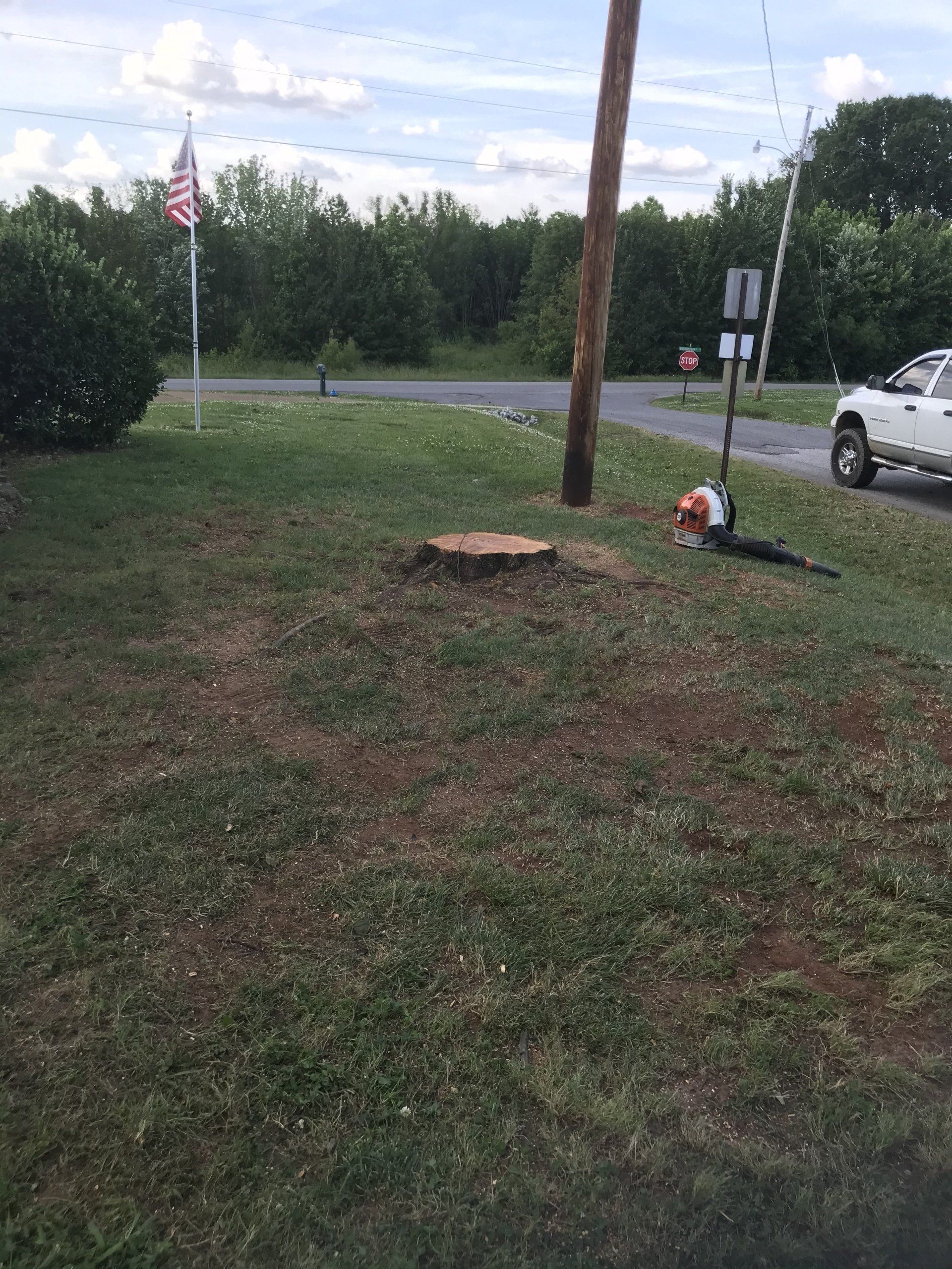 Tree services