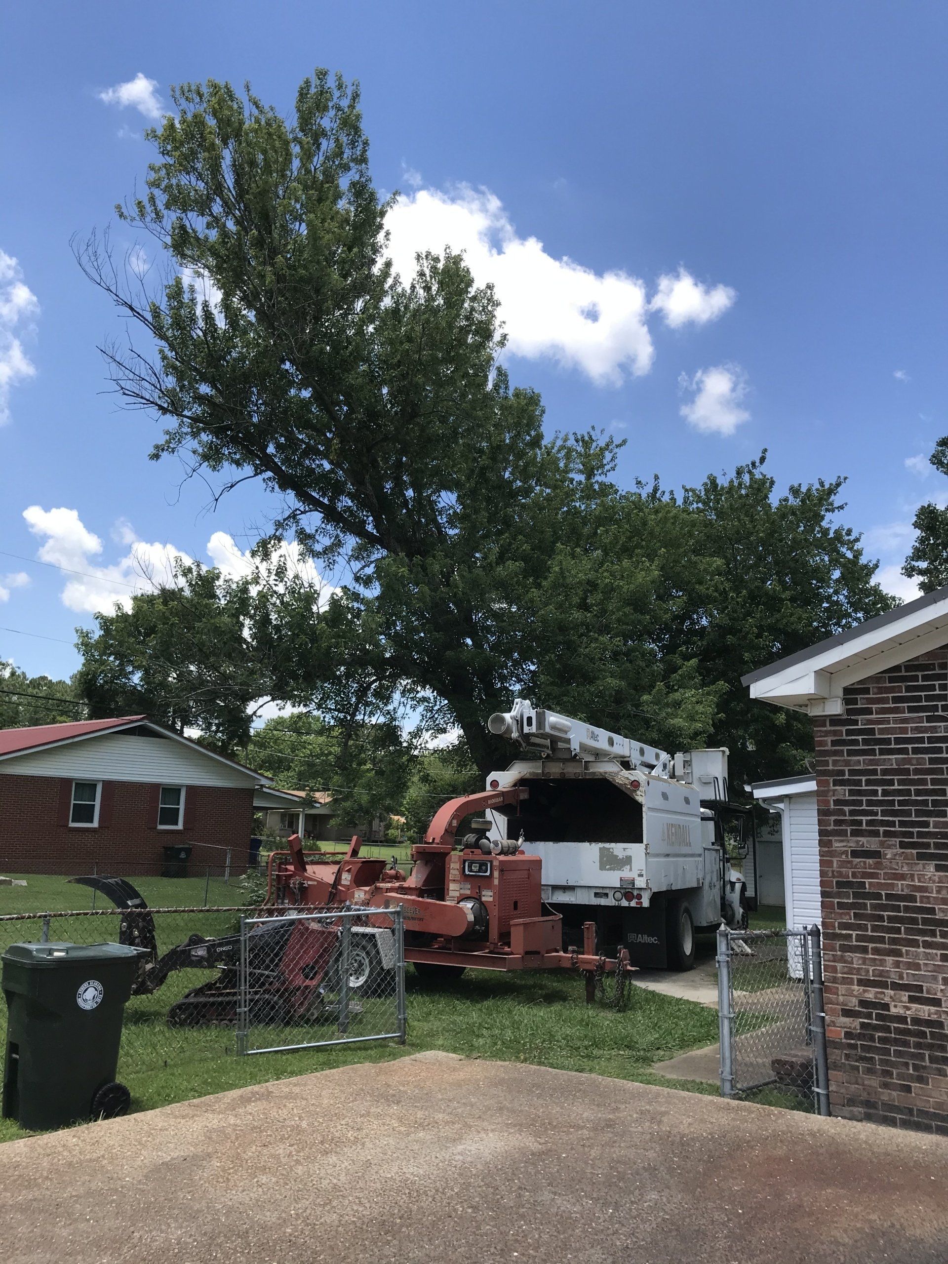 Tree services