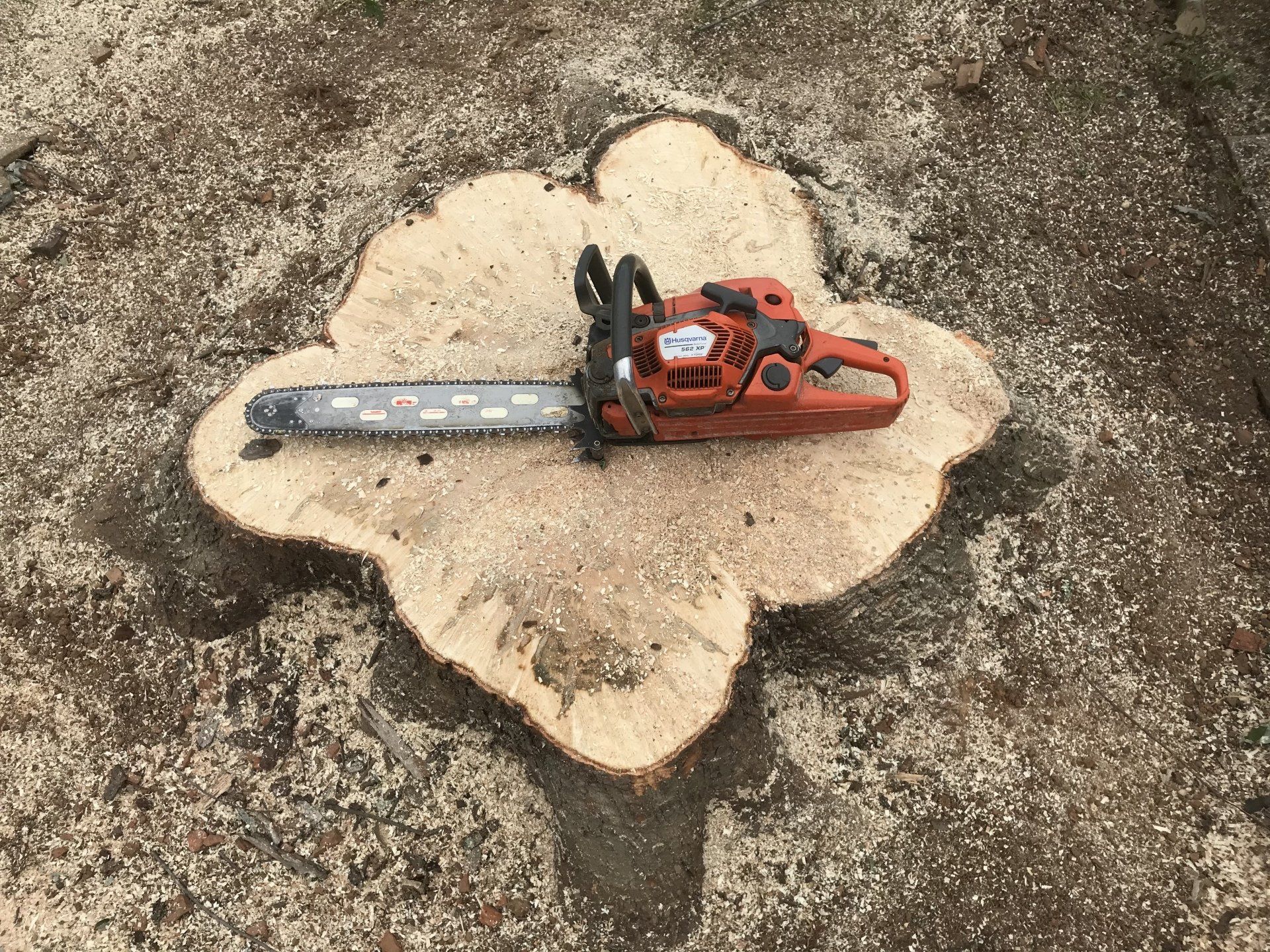 Tree services