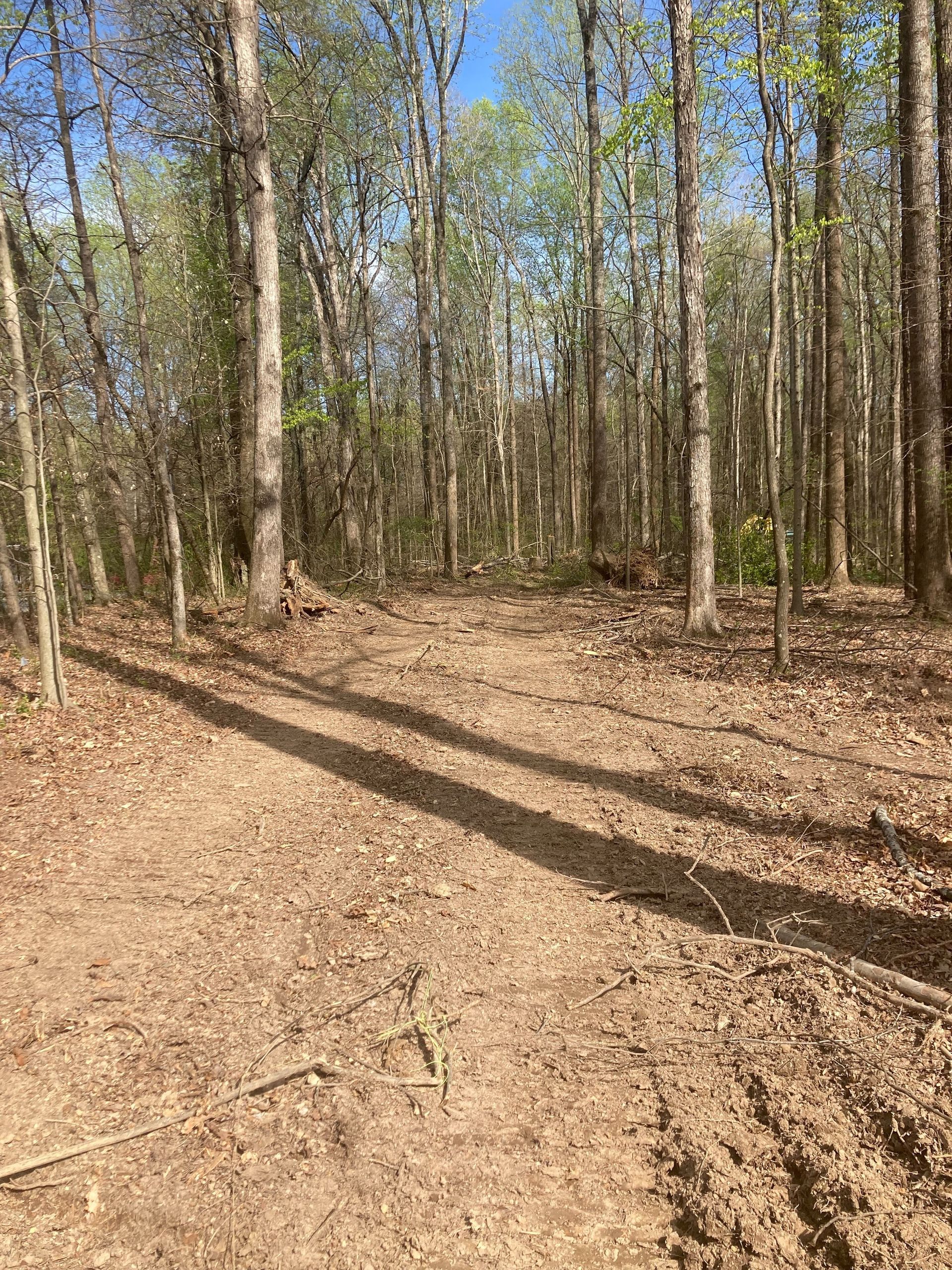 Forest mulched pathway