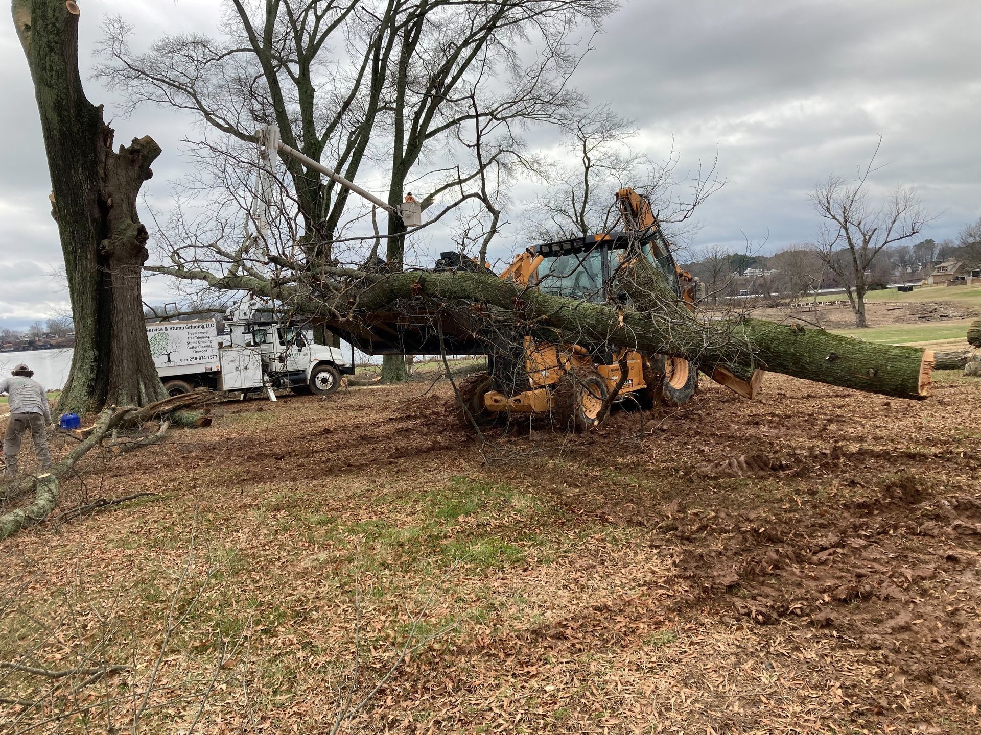 loader picked up tree