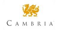 Logo of Cambria, featuring a gold dragon above the word 