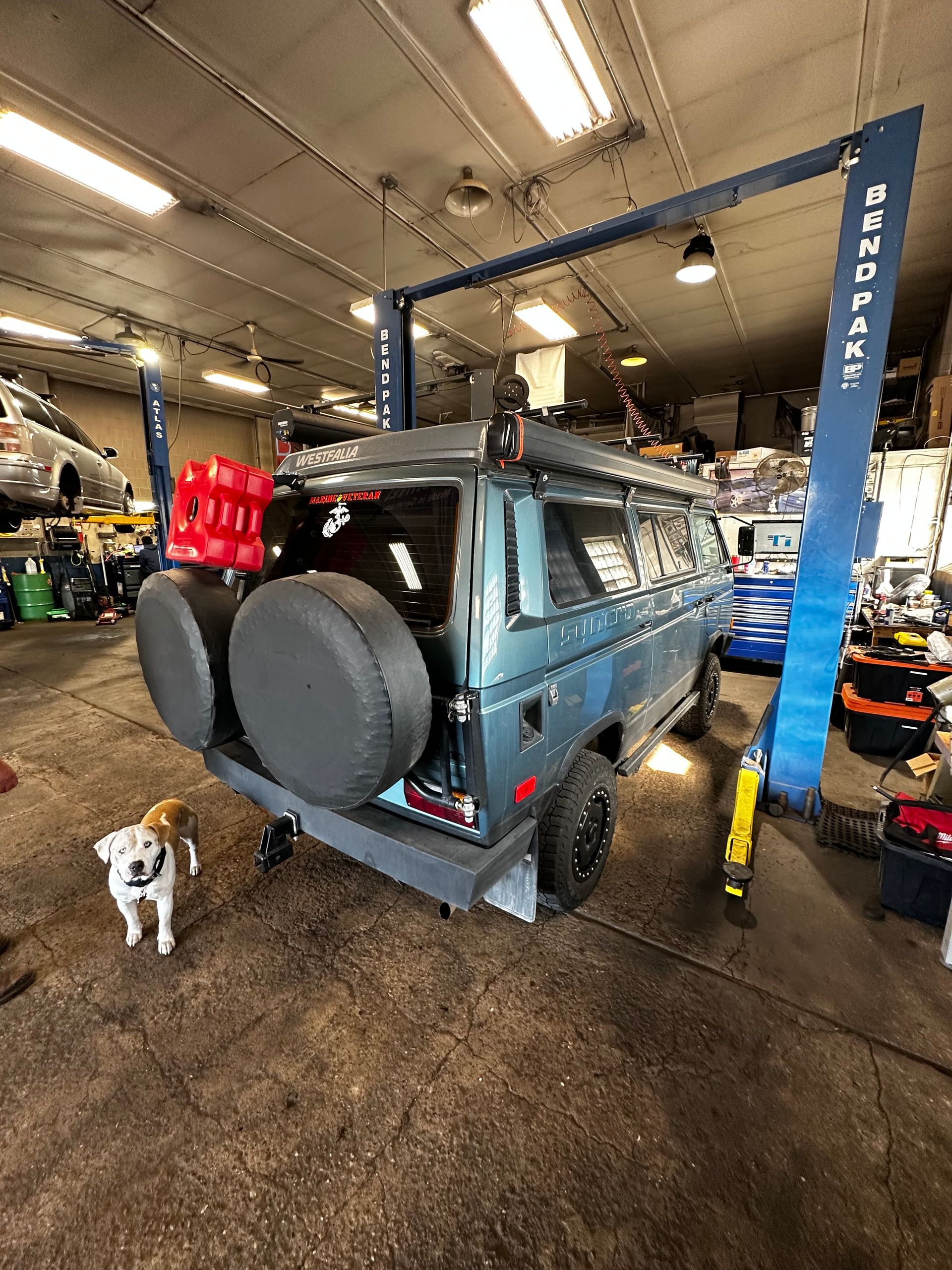 A dog is standing next to a van on a lift in a garage