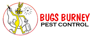 pest control Walthamstow
