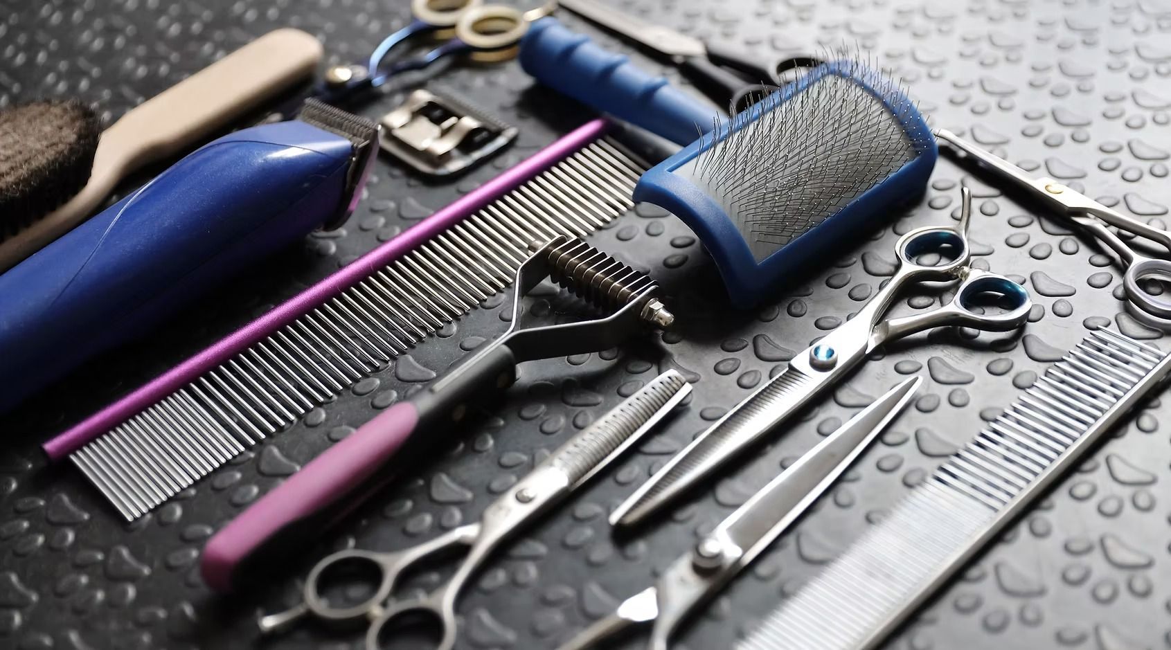 Assorted pet grooming tools on a textured black mat, including brushes, combs, and scissors.