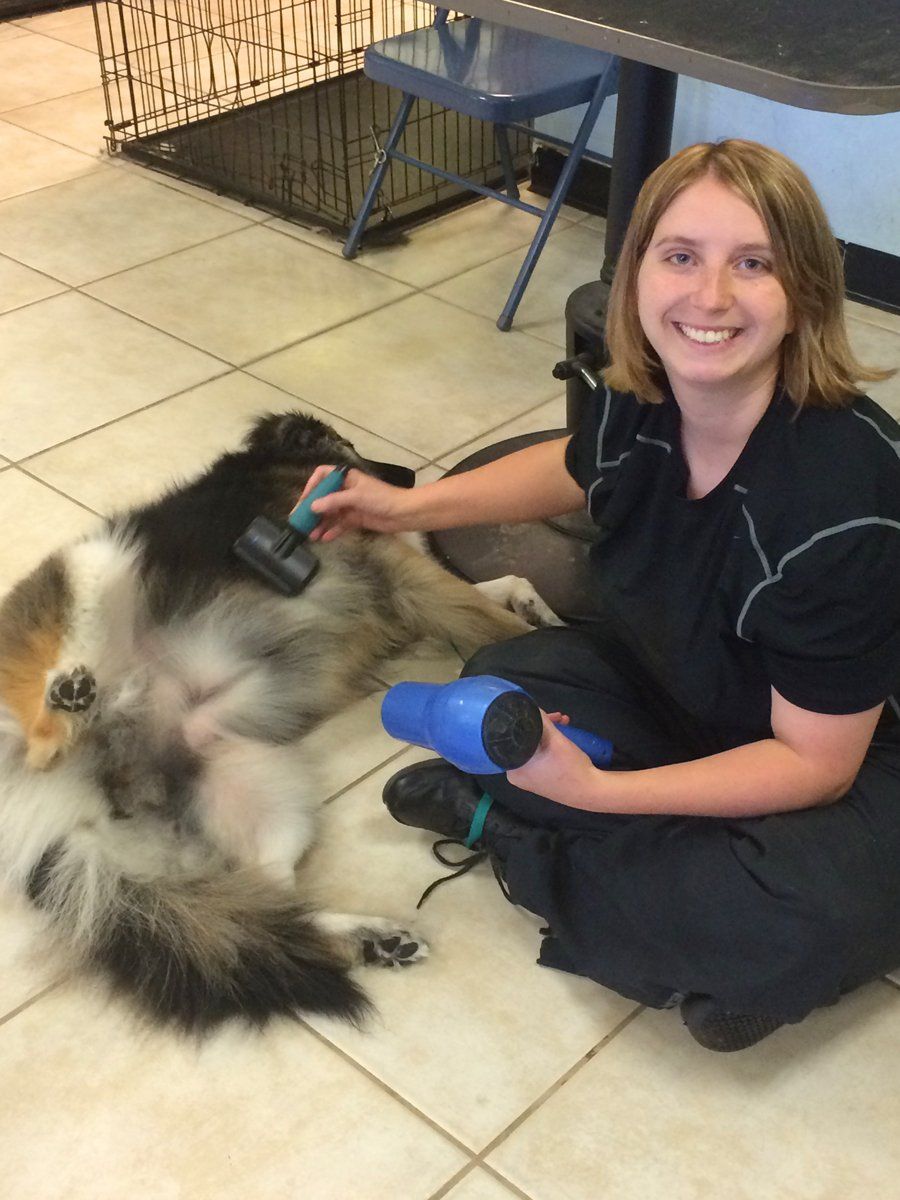 Unleashed Pet Grooming School Photo Gallery Oklahoma City, OK