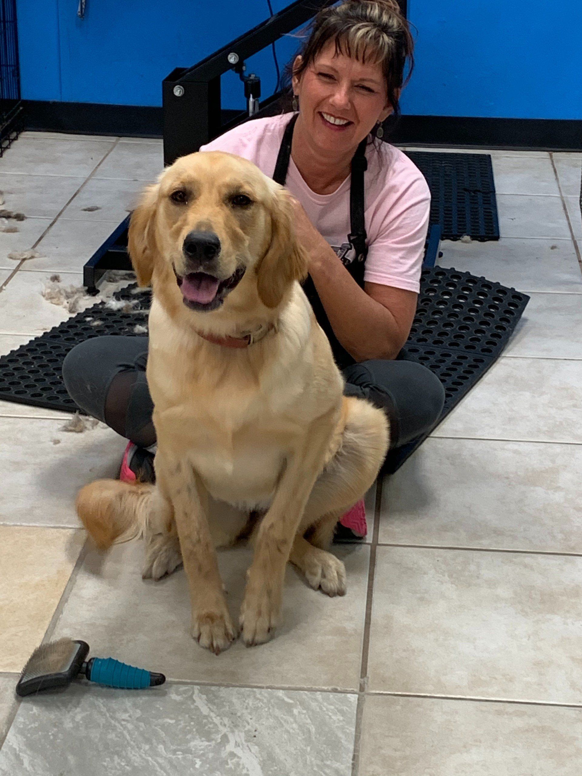 Unleashed Pet Grooming School Photo Gallery Oklahoma City, OK