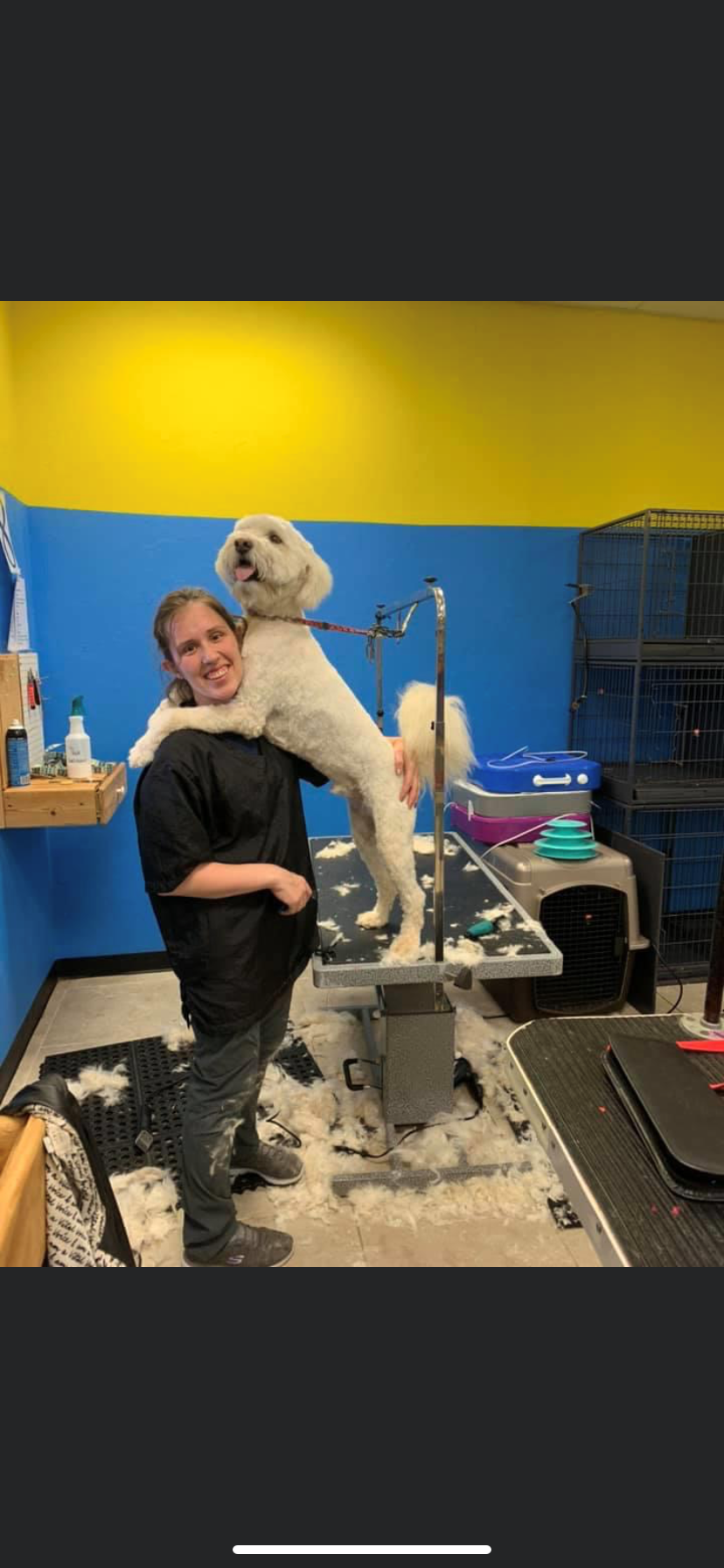 Unleashed Pet Grooming School Photo Gallery Oklahoma City, OK