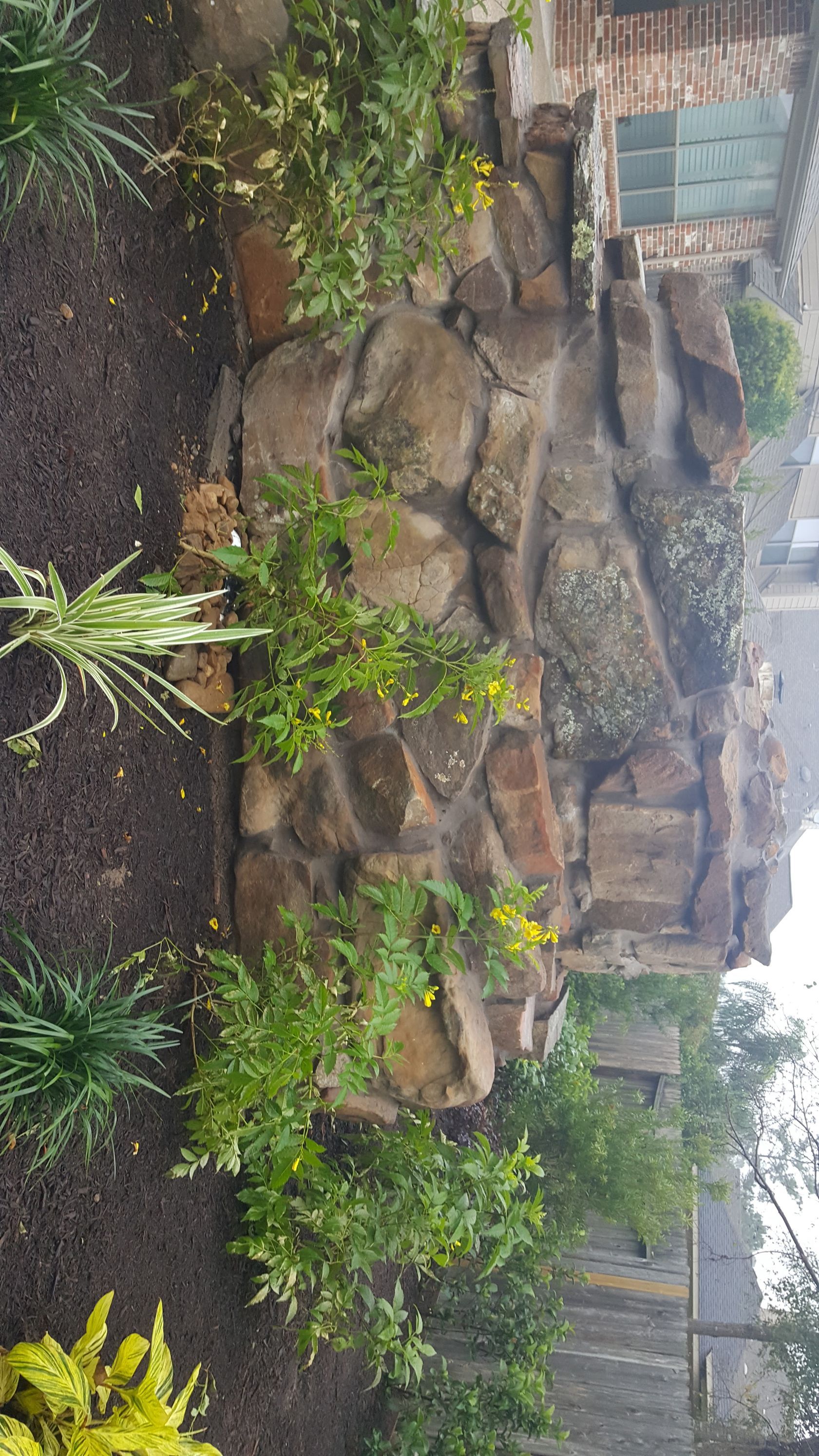 Landscaped rock garden with small green shrubs, wet mulch, and a waterfall-like stone wall in the background