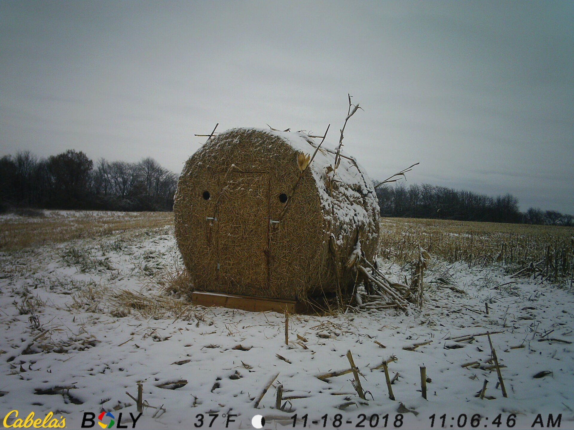 TRAIL CAMERA PICTURES