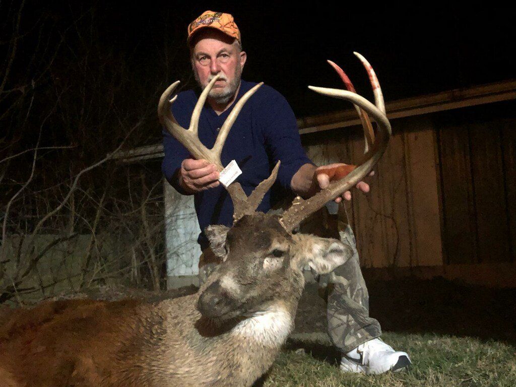harvested deer