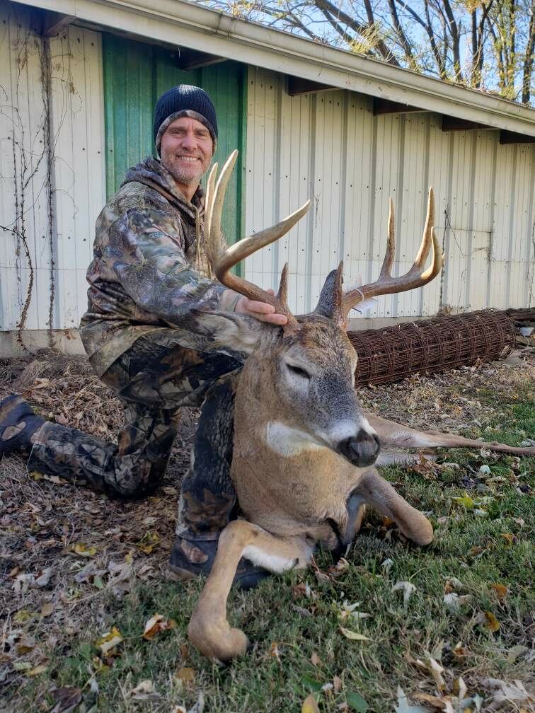 harvested deer