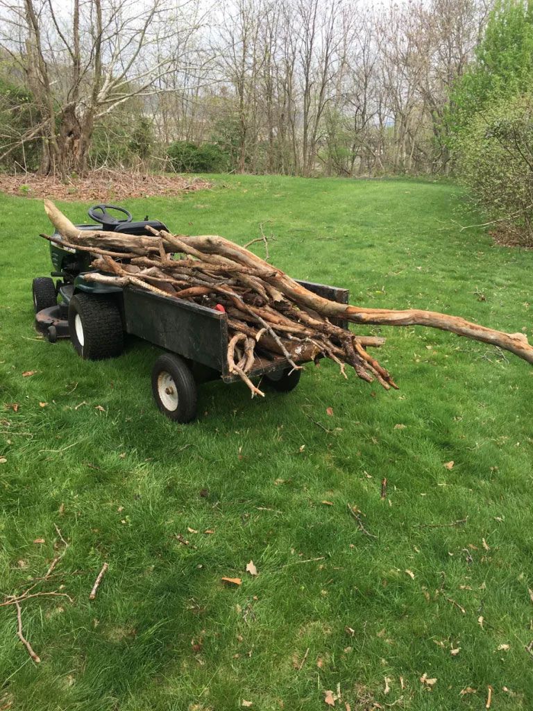 A trailer filled with logs is sitting on top of a lush green field.