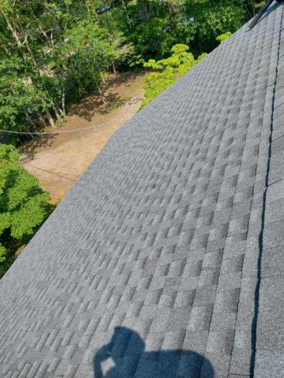 Gray asphalt shingle roof, angled view, trees in background.
