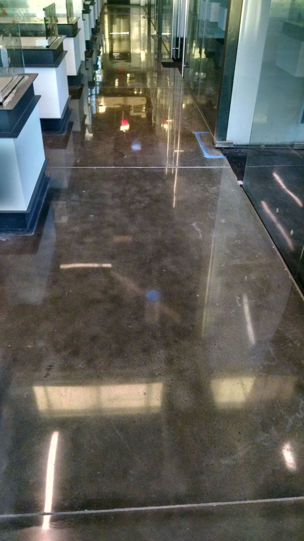 Polished brown concrete floor with reflections, in an office building lobby.