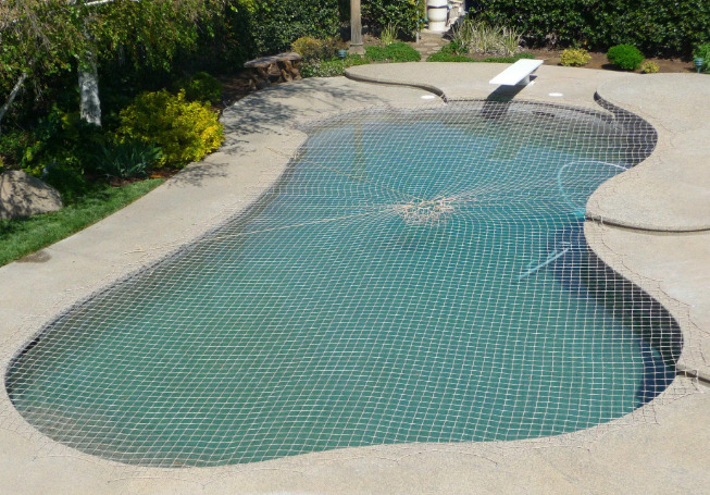 Backyard pool with blue mosaic tile water and a curved concrete deck surrounded by greenery