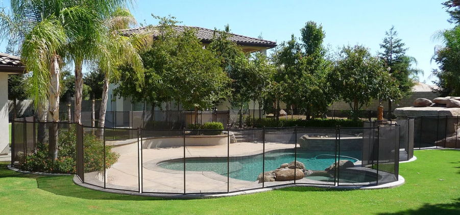 Backyard pool enclosed by black fence, with lawn, palm trees, and patio area in bright sunlight