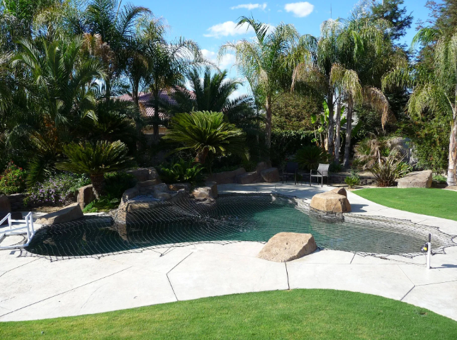 Backyard pool with palm trees, blue water, rocks, and white patio lounging chairs