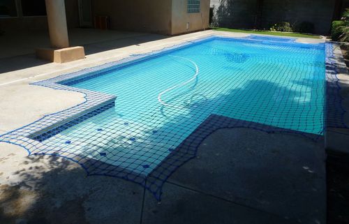 Small empty blue-tiled swimming pool beside a beige patio in bright sunlight
