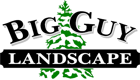 Big Guy Landscape - Logo
