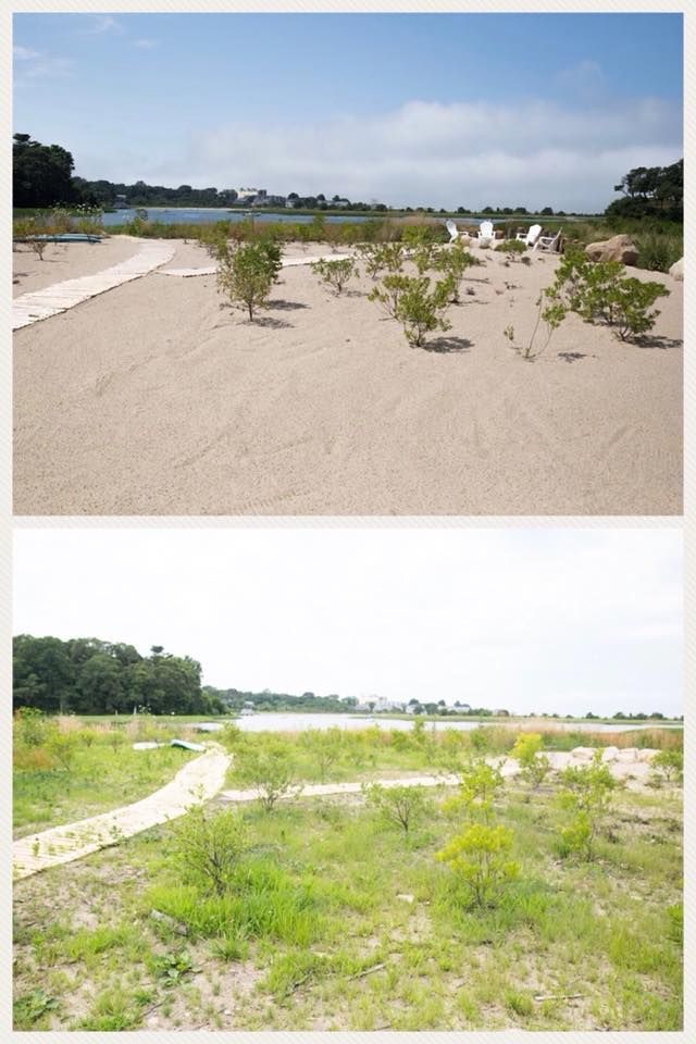 Before and after landscaping