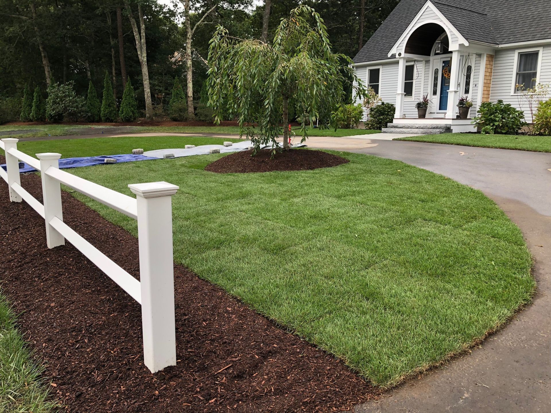 Lawn and tree service