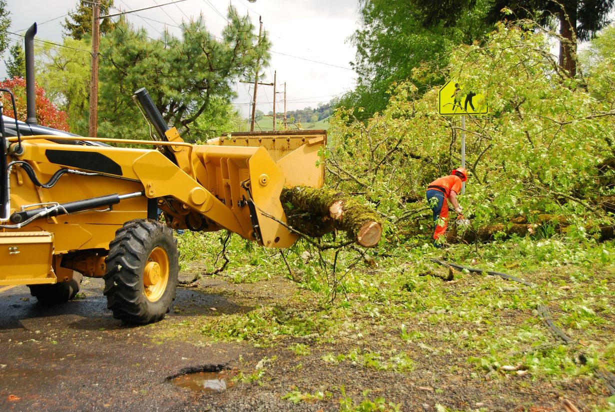 Yellow wood chipper processing tree limbs on a road; worker in orange vest nearby.