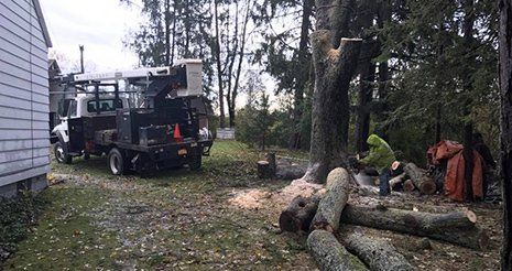 Upstate Contractors Tree Services Penn Yan Ny
