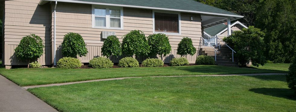 A well landscaped old fashioned bungalow