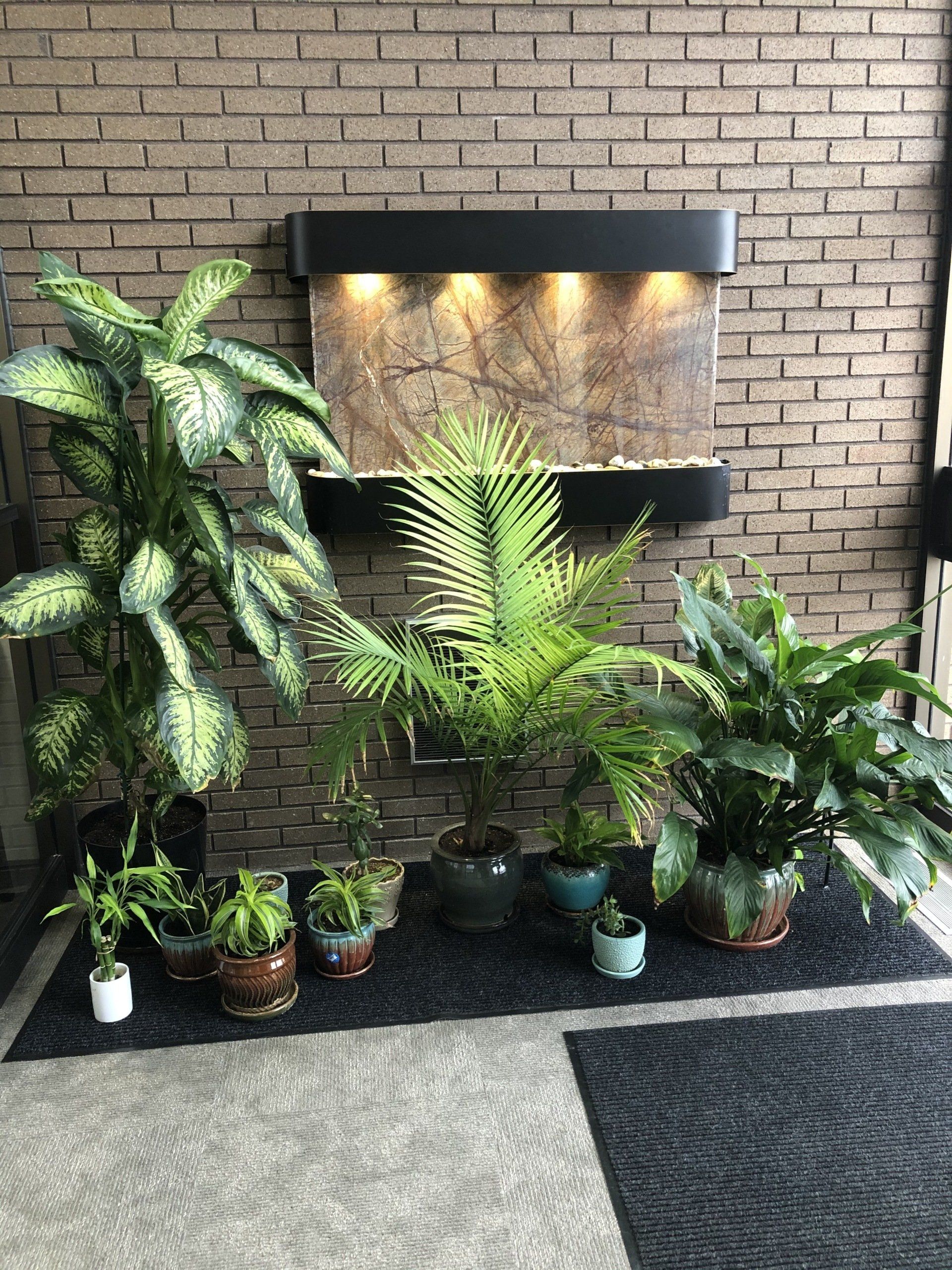 Browning Law office with beautiful plants