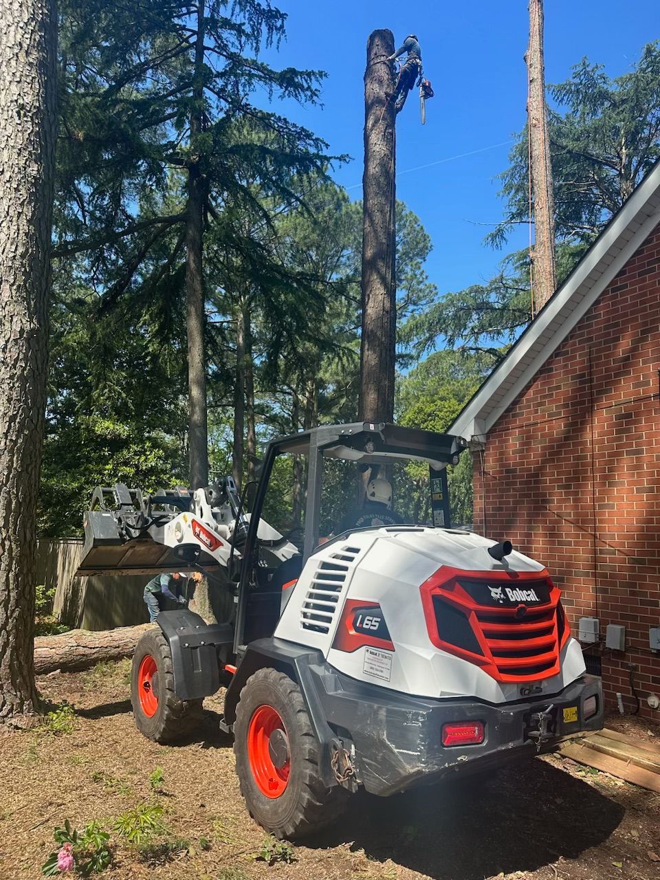 Small white truck of Poor Folks Tree Service