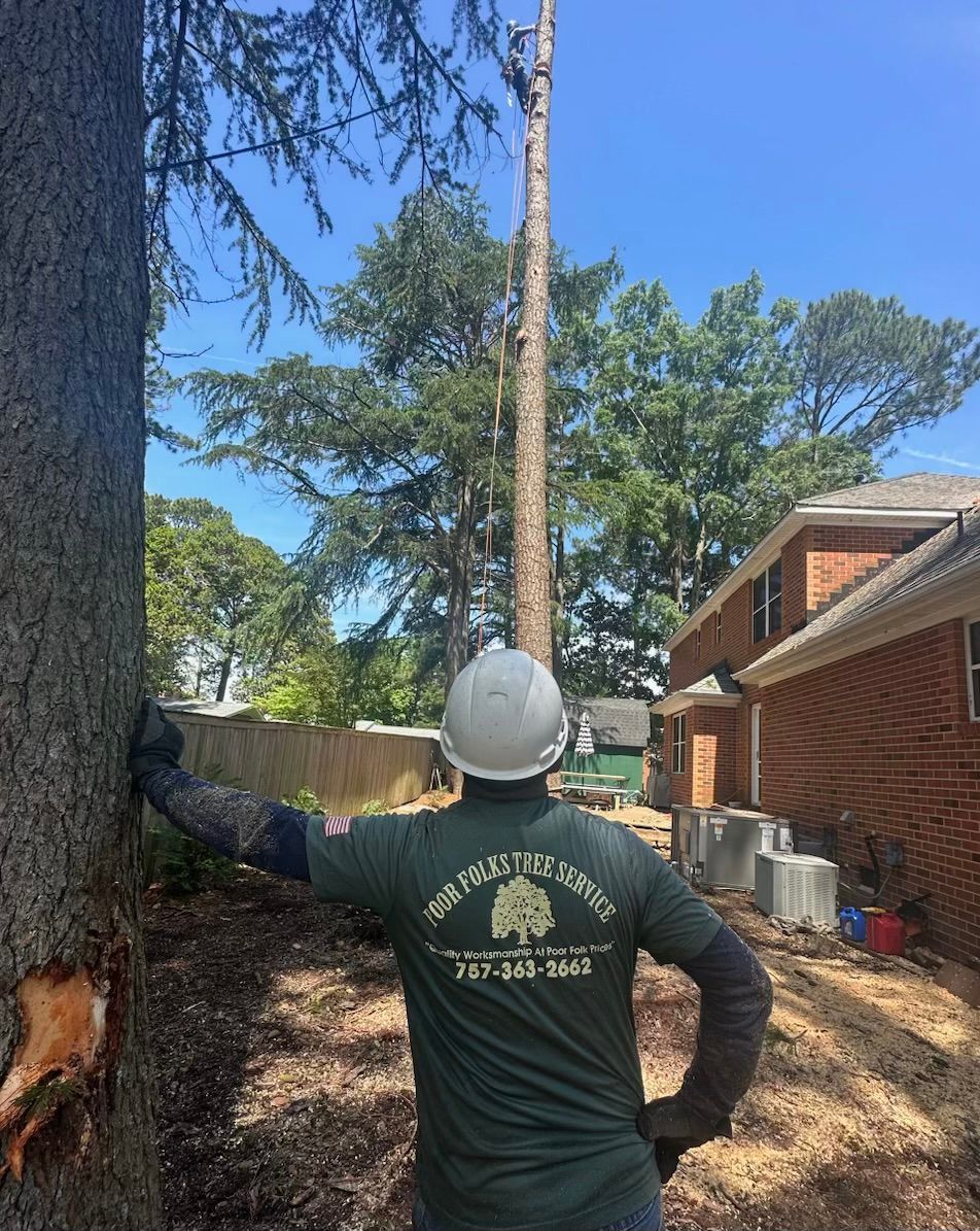 An expert of Poor Folks Tree Service in white helmet