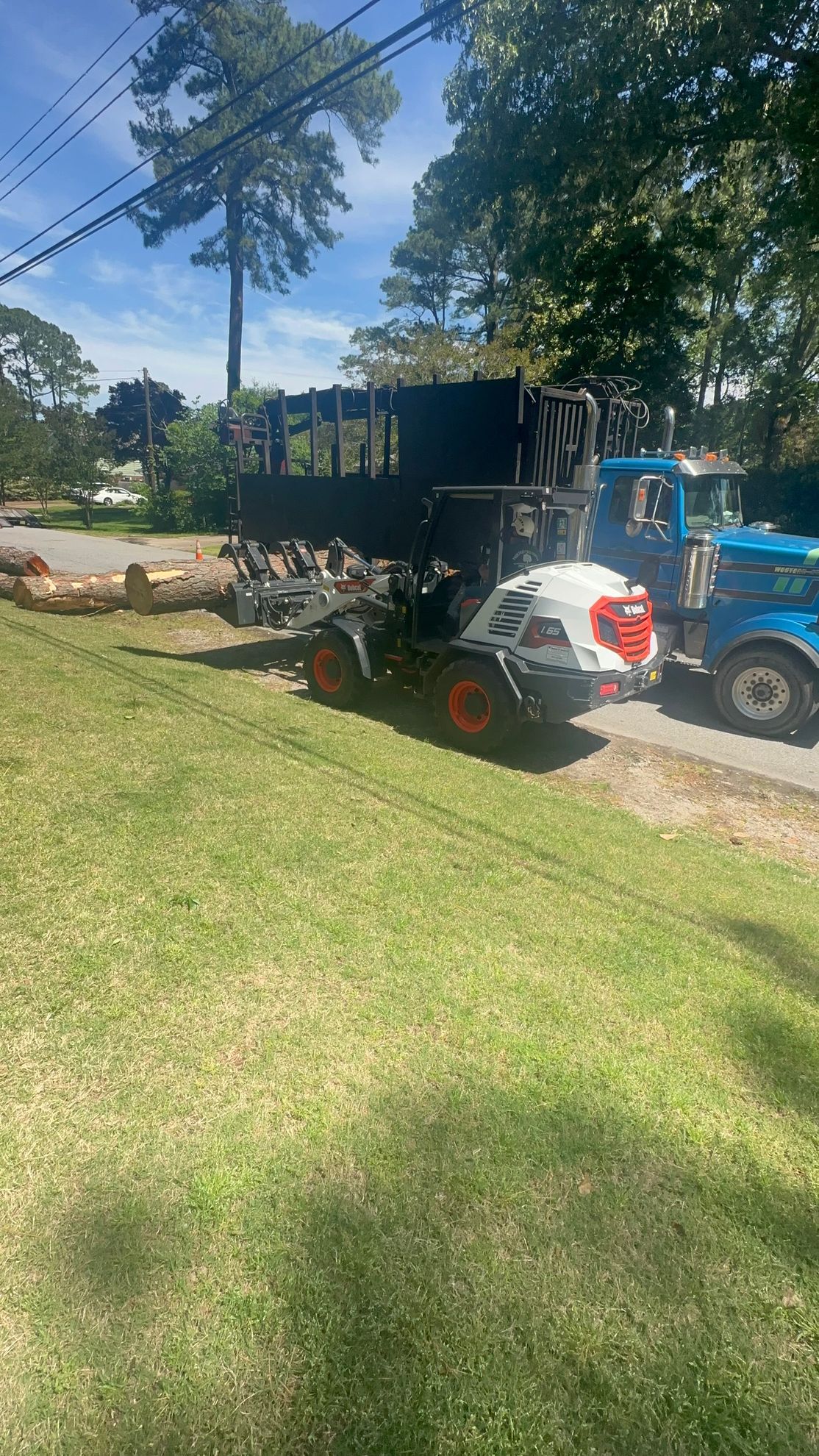A small white truck carrying a log with the big blue truck