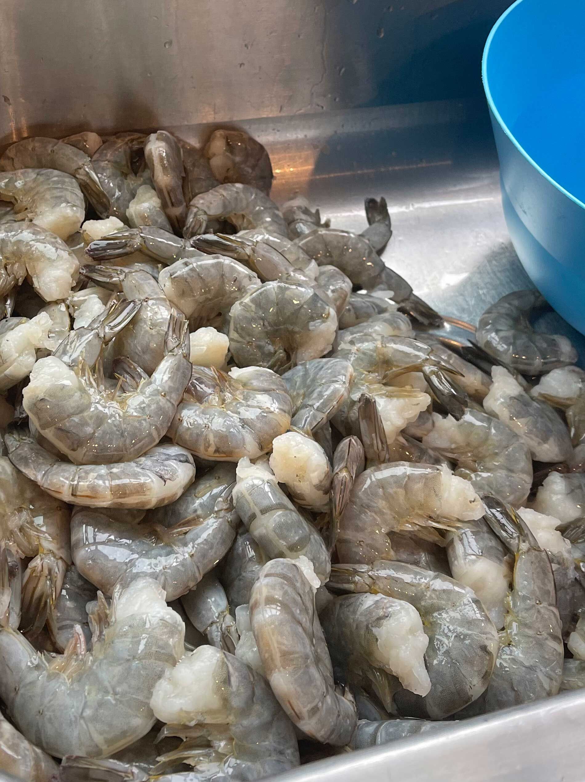 A pile of shrimp is sitting on top of a stainless steel sink next to a blue bowl