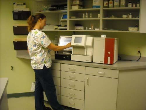 About Us | Menomonie, WI | Brakken Veterinary Clinic Inc. | 715-235-8404