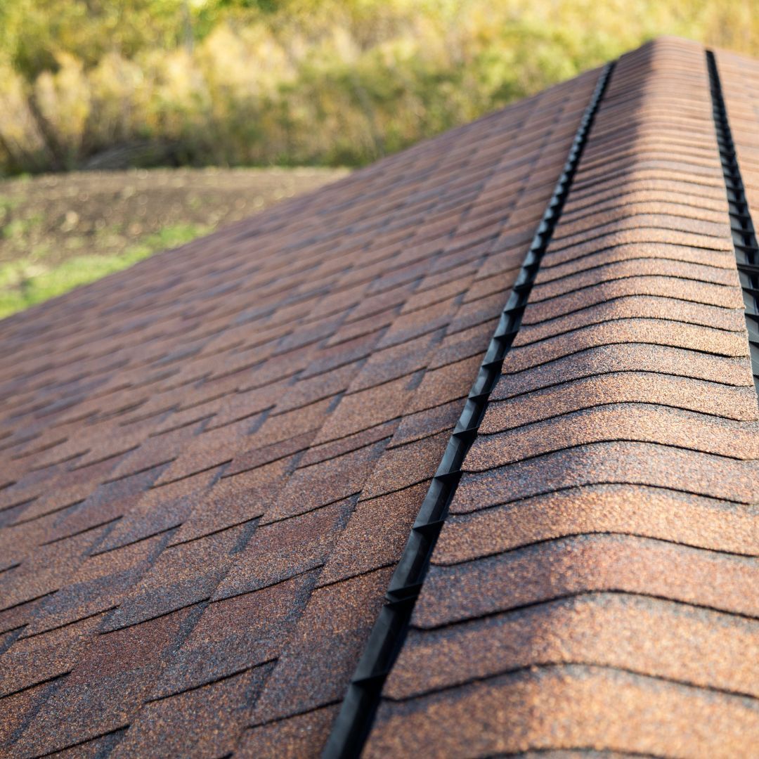Close-up view of a brown asphalt shingle roof.
