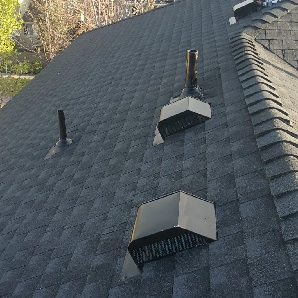 Black asphalt shingle roof with three vents.